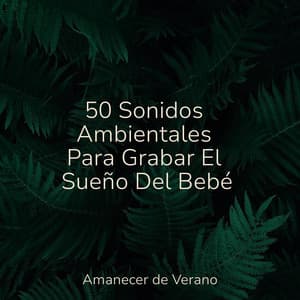 50 Sonidos Ambientales Para Grabar El Sueño Del Bebé - Música Relajante para Bebés