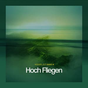 Hoch Fliegen - Vogelstimmen