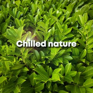 Chilled Nature - Nature Recordings