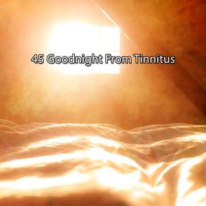 45 Goodnight From Tinnitus - The Deep Sleep Music Academy