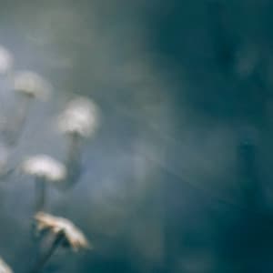 50 White Noise Sounds: Meditation Harmony - Focus Noise