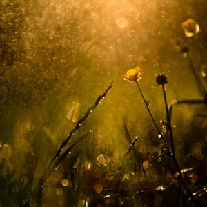 Bioluminescent Breezes: Chill Music Rain Energy - Tropical Blue Lagoon Sounds