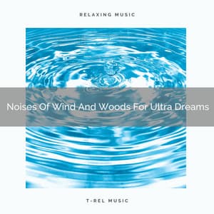 Noises Of Wind And Woods For Ultra Dreams - Noise Gravity