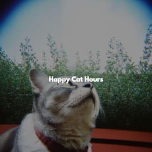 Happy Cat Hours - Coffee Shop BGM