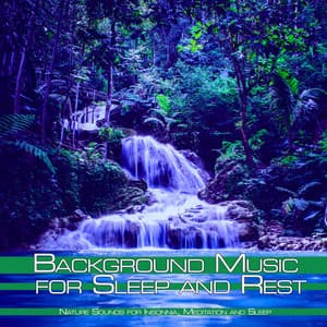 Background Music for Sleep and Rest: Nature Sounds for Insonnia, Meditation and Sleep - Spa Music Relaxation