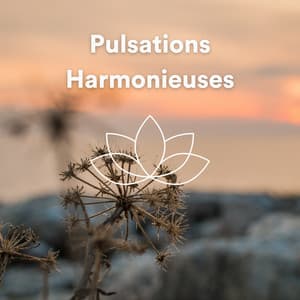 Pulsations Harmonieuses - Zen Ambiance D'eau Calme