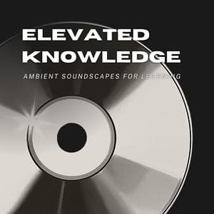 Elevated Knowledge: Ambient Soundscapes for Learning - Piano Genie