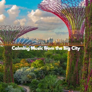 Calming Music from the Big City - Jazz Classique