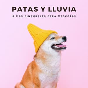 Patas Y Lluvia: Rimas Binaurales Para Mascotas - Universo De Latidos Binaurales