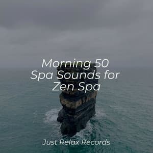Morning 50 Spa Sounds for Zen Spa - Música Para Meditar y Relajarse