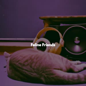 Feline Friends - Hotel Chillout Lounge