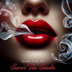 Savor The Smoke: Paradise Exotic Mix, Electro Lounge Oasis - Shisha Lounge Zone
