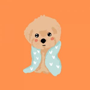 Music for Dogs and Dreams - Relaxed Jazz Quintet - Relax My Puppy