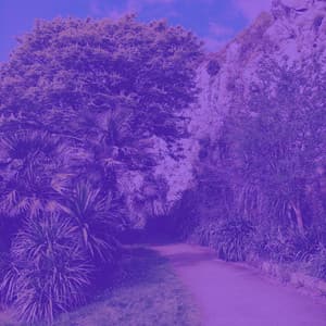 Feelings for Storytelling - Vintage Cafe Playlist