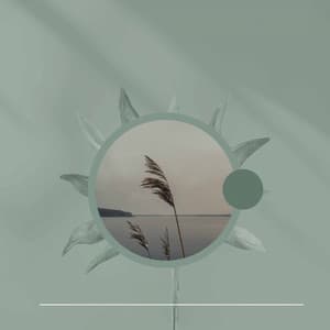 Excellent Background Music for Rejuvenating Seasons - Jazz Vibe Duo