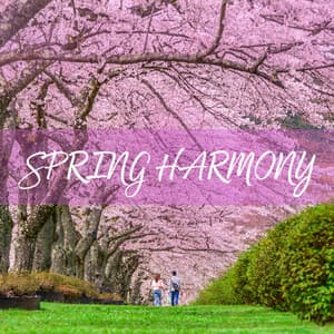 Spring Harmony: Quiet Contemplation and Full Relaxation - Total Relax Zone