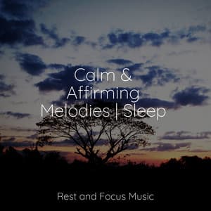 Calm & Affirming Melodies | Sleep - Deep Focus