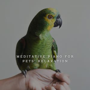 Harmonious Companions: Meditative Piano for Pets' Relaxation - The Piano Lounge Players