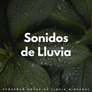 Sonidos De Lluvia: Pequeñas Gotas De Lluvia Binaural - Lluvia Relajante