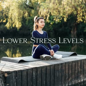 Lower Stress Levels: Calming Meditation, Deep Breathing Practice, Focus Your Attention & Eliminate Stress - Stress Relief Calm Oasis