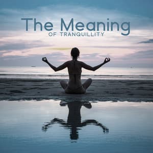 The Meaning Of Tranquillity - Enlightened State