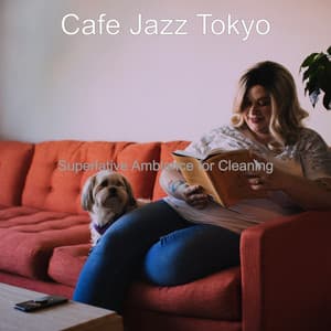 Superlative Ambiance for Cleaning - Cafe Jazz Tokyo