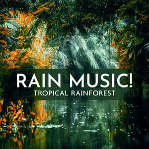 Rain Music! Tropical Rainforest – Wild Nature Music Collection for Rest, Meditation, Spa and Sleep - Rain Music!