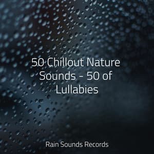 50 Chillout Nature Sounds - 50 of Lullabies - Sleep Baby Sleep