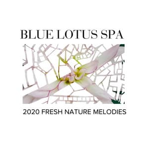 Blue Lotus Spa - 2020 Fresh Nature Melodies - Gold Spa Melodies