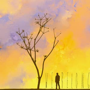 We Belong - Peaceful Zen