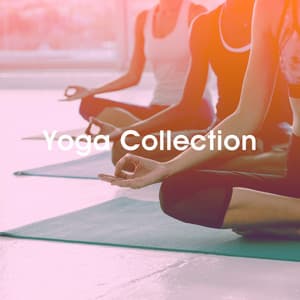 Yoga Collection - Relaxing Mindfulness Meditation Relaxation Maestro