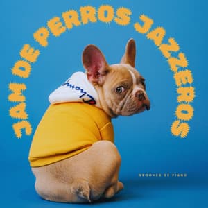 Grooves De Piano: Jam De Perros Jazzeros - Domingo de piano