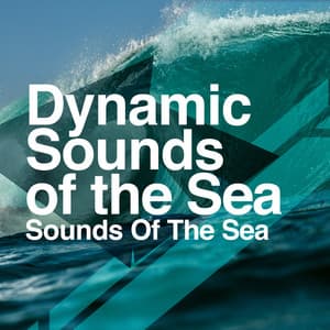 Dynamic Sounds of the Sea - Sounds Of The Sea