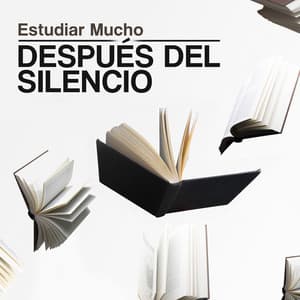 Después del Silencio - Estudiar Mucho