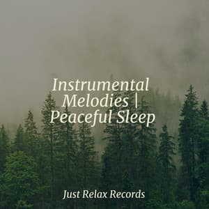 Instrumental Melodies | Peaceful Sleep - Deep Sleep Relaxation