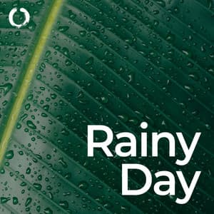 Rainy Day Meditation: Lo-fi Piano & Nature - Rain Shower