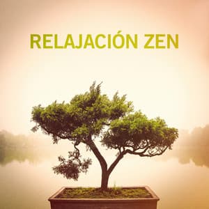 Tranquil relaxation music - Soothing Music for Sleep Academy