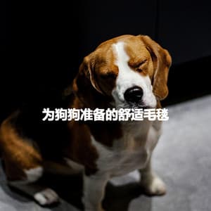 为狗狗准备的舒适毛毯 - Coffee Shop Music Supreme