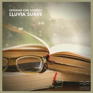 Estudiar Con Sonidos de Lluvia Suave - Fondo de la lectura