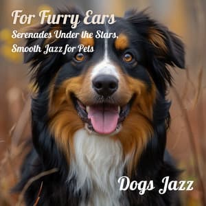 For Furry Ears: Serenades Under the Stars,Smooth Jazz for Pets - Dogs Jazz