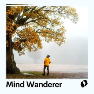 Mind Wanderer - Quiet Meditation Music
