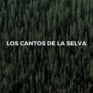 Los Cantos De La Selva - Sonidos de la selva tropical