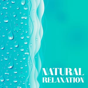 Natural Relaxation: Rain Session for Body Spa Treatments - Spa Massage Solution