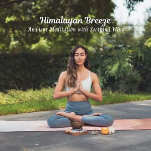 Himalayan Breeze: Ambient Meditation with Soothing Wind - Nature Sounds Artists