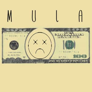 Mula - Roy Matz
