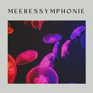 Meeressymphonie - Meeresgeräusche