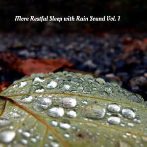 More Restful Sleep with Rain Sound Vol. 1 - The Sleep Phasers