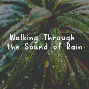 Walking Through the Sound of Rain - Natsound