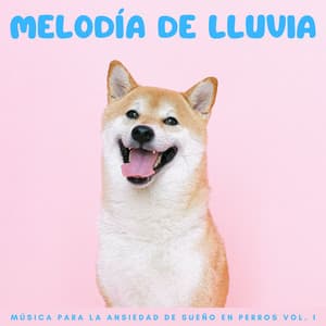 Melodía De Lluvia: Música Para La Ansiedad De Sueño En Perros Vol. 1 - Sonidos de lluvia y ruido de fondo