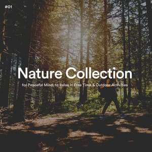 #01 Nature Collection for Peaceful Mind, to Relax in Free Time & Outdoor Activities - The Nature Soundscapes